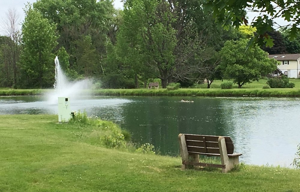 Martin Road Park